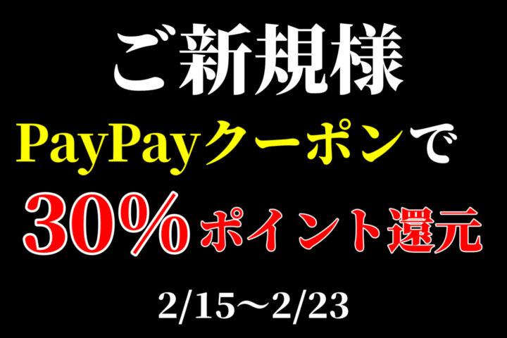 最大20400円引き！PayPayで３０％ポイント還元！2/28までの画像